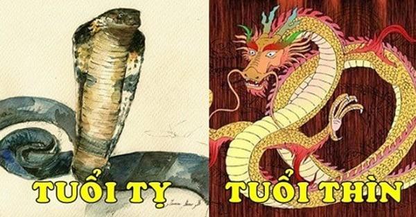 Những cặp đôi lấy nhau khẩu chiến liên miên vẫn sinh con rồng phượng-1