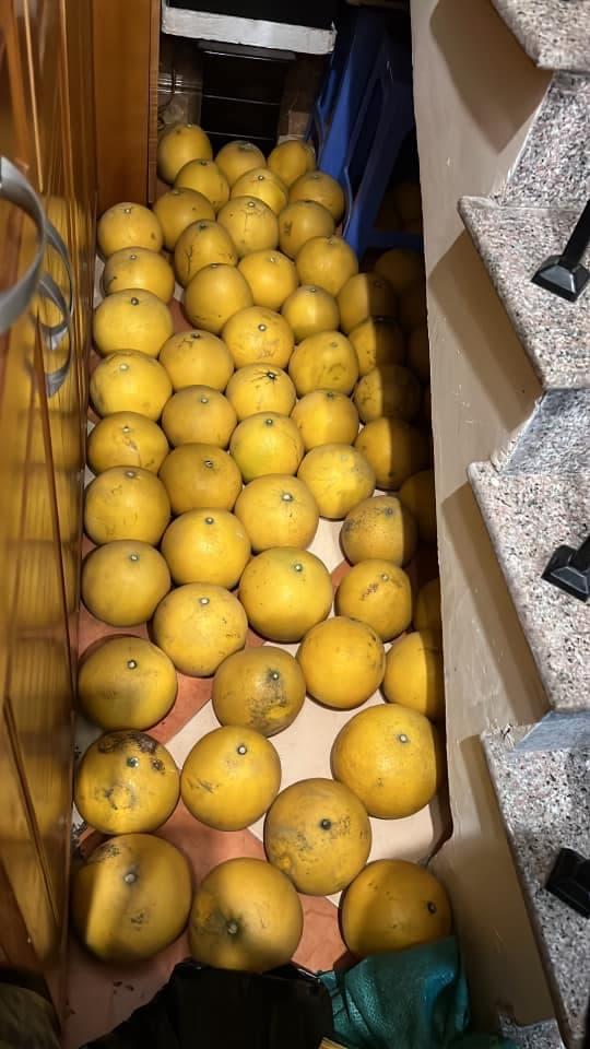 Loạt ảnh sắm bưởi ăn Tết nhận bão like-4