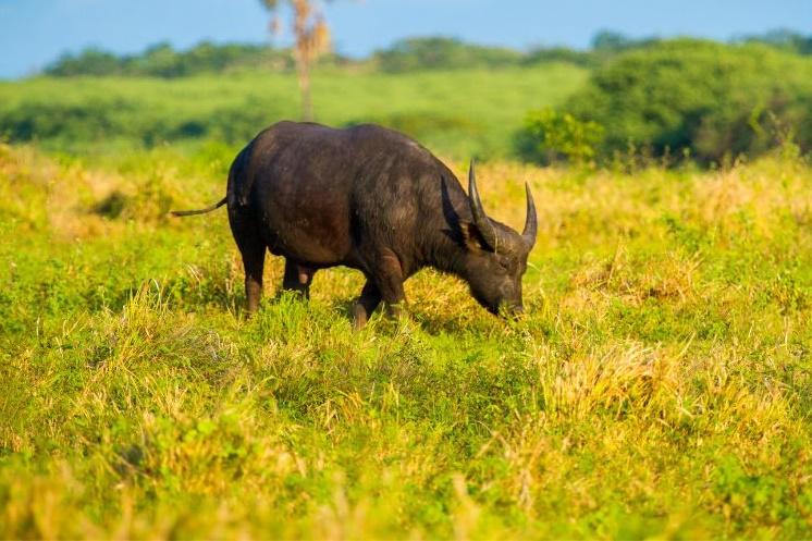 3 tuổi sinh ra để làm giáo viên, được học sinh mến yêu vô cùng-1