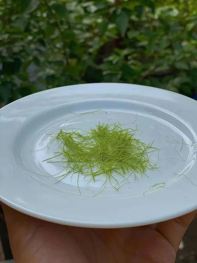 Bắt trend ngày Tết, cách thái lá chanh siêu mỏng xỏ được kim khâu-4