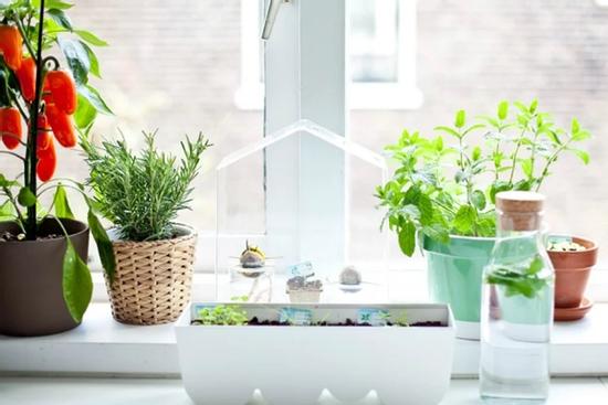 Trong bếp có 3 thứ này là đại cát, cuối năm làm gì cũng may mắn