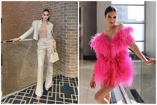 Mỹ nhân 'nghìn máu' của Miss Universe 2022 bị bóc trần đời tư hỗn loạn