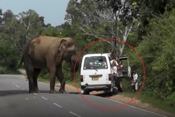 Du khách người Anh phá tác phẩm điêu khắc ở Thái Lan-2