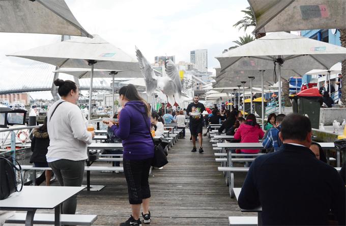 Chợ cá Sydney nơi Tăng Thanh Hà ghé dùng bữa-3