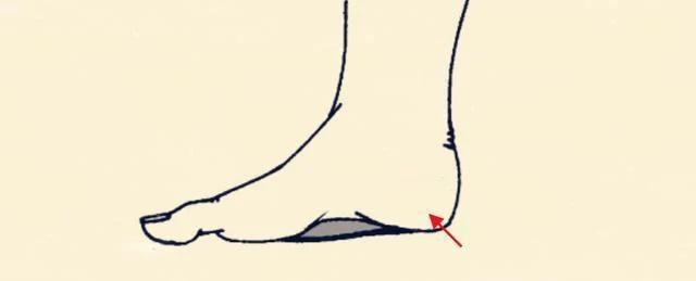 Vì sao cổ nhân dạy: Chân như đĩa phẳng, nghèo khó chẳng dứt?-4