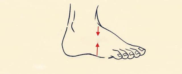Vì sao cổ nhân dạy: Chân như đĩa phẳng, nghèo khó chẳng dứt?-8