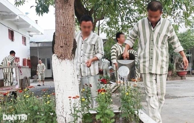 Bộ Công an nói về việc phân loại phạm nhân trong trại giam-1