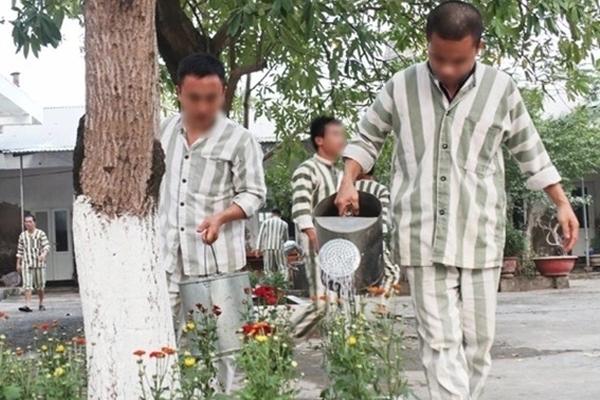 Hai phạm nhân trốn trại: Loa thông báo liên tục, dân đóng cửa im ỉm-3