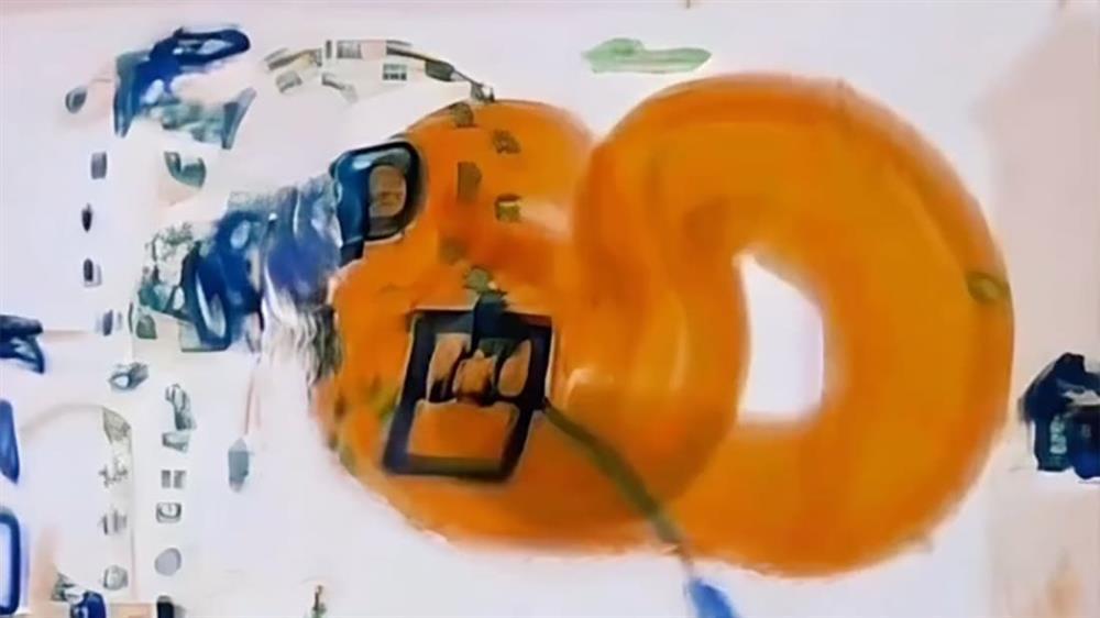 Xách tay con trăn dài 1,2 mét, nữ hành khách bị dừng chuyến bay-1