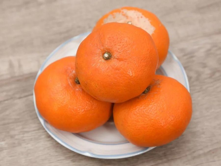 Người trồng mách 3 mẹo chọn cam canh chuẩn, không sợ bị khô-1