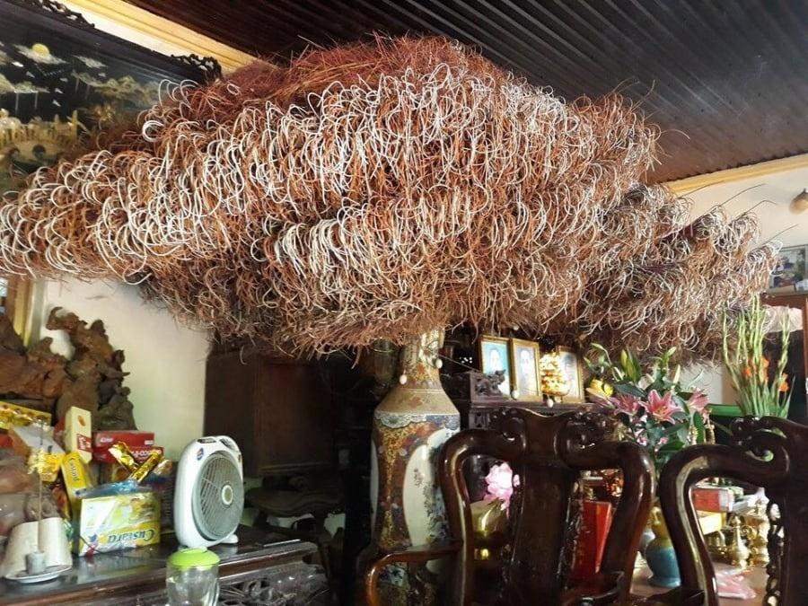 Tỉa chân hương trước hay sau khi cúng ông Công ông Táo mới đúng?-2