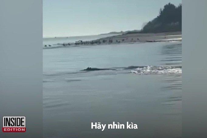 Du khách đứng tim đối mặt với mực khổng lồ quý hiếm dài 2,4 mét-3