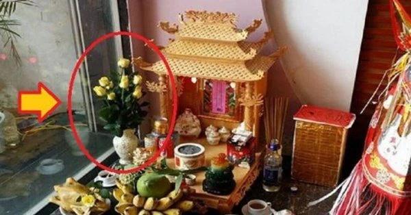 4 loại hoa được Thần Tài ưng bụng mà không cần tuyết mai, thanh liễu-1