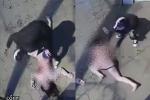 NÓNG: Đã bắt kẻ đâm bạn gái cũ tử vong ở phố Vương Thừa Vũ-2