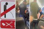 Để hành khách tiểu tiện vào người ngồi cạnh, hãng bay gặp rắc rối