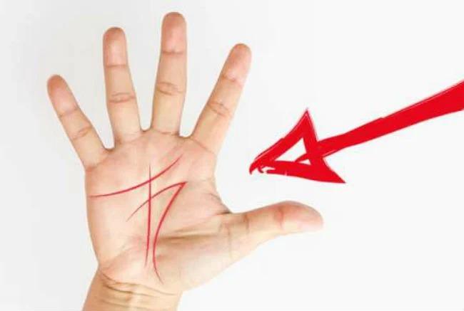 Lòng bàn tay có 3 dấu hiệu phúc lộc sâu dày, cả đời chẳng thiếu tiền tiêu-1