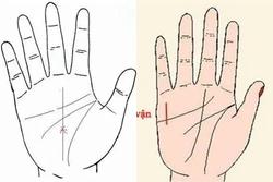 Lòng bàn tay có 3 dấu hiệu phúc lộc sâu dày, cả đời chẳng thiếu tiền tiêu