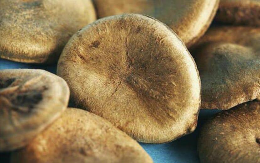 Tê cứng miệng, tay chân sau một giờ uống hạt cực độc chữa đau bụng-1