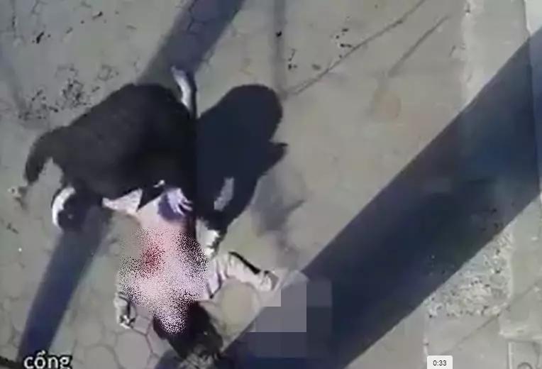 Vụ giết bạn gái ở phố Vương Thừa Vũ: Nạn nhân bị đâm 25 nhát-1