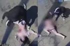 Vụ giết bạn gái ở phố Vương Thừa Vũ: Nạn nhân bị đâm 25 nhát