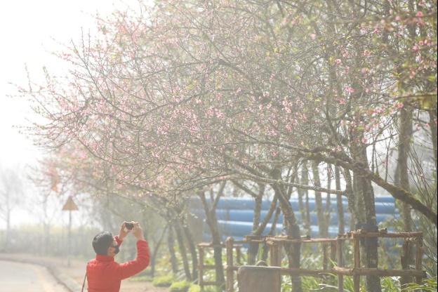 Mưa tuyết có thể rơi dày tại Fansipan, điểm đến lý tưởng dip Tết-3