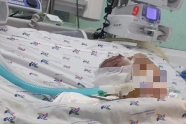 6 người trong một gia đình bị bắn chết ở California-2