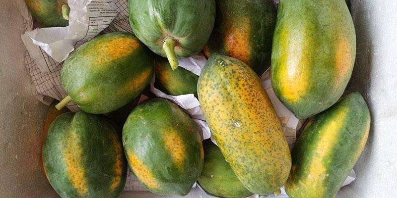 Vạch mặt 5 loại quả dễ ngâm hóa chất, tỉnh táo để không mua nhầm-2