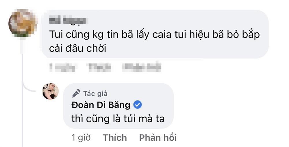 Túi xách 100 triệu thành giỏ đựng rau của Đoàn Di Băng-4
