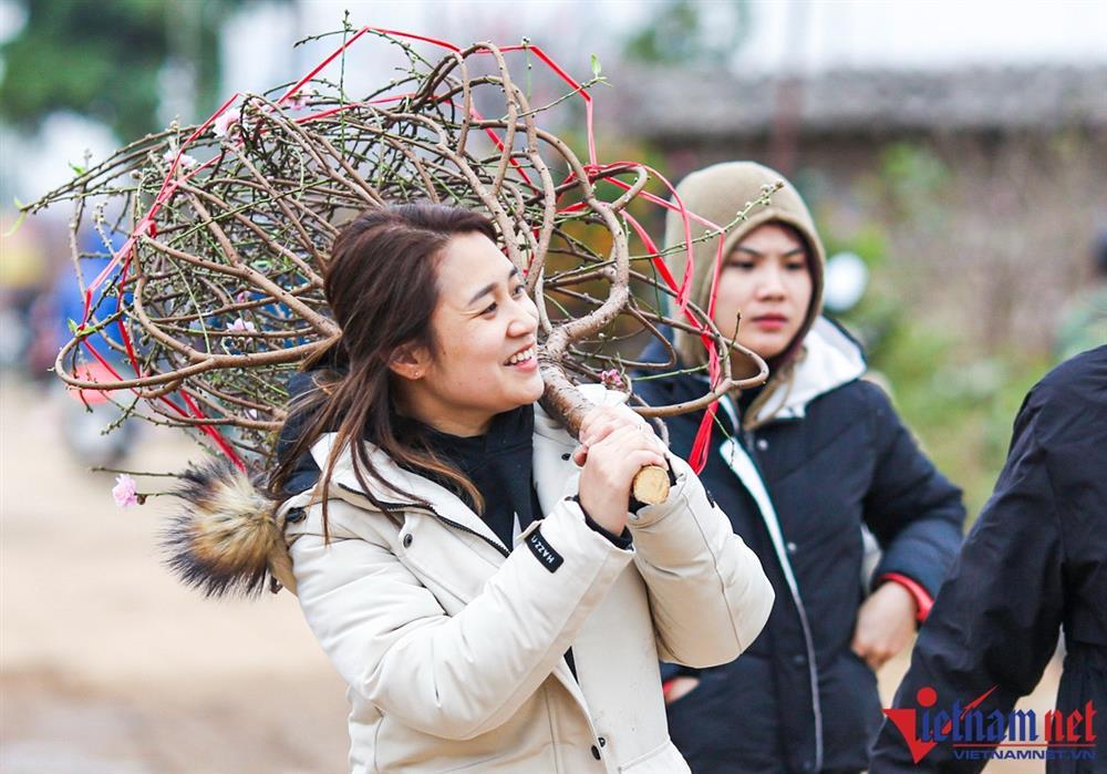 Làng đào Nhật Tân nhộn nhịp những ngày cận Tết-2