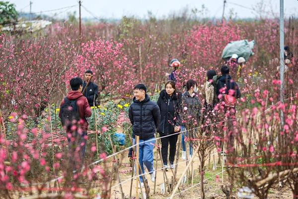 Hà Nội tạm dừng phố đi bộ trong dịp Tết Nguyên đán-2
