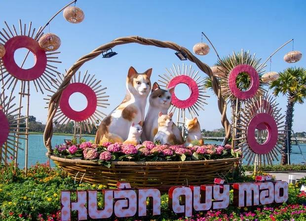 Đàn mèo ở Huế: Con được khen hết lời, con bị chê giống chuột-1