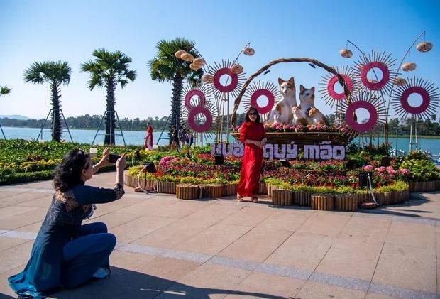 Đàn mèo ở Huế: Con được khen hết lời, con bị chê giống chuột-2