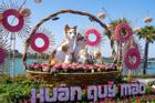 Đàn mèo ở Huế: Con được khen hết lời, con bị chê giống chuột