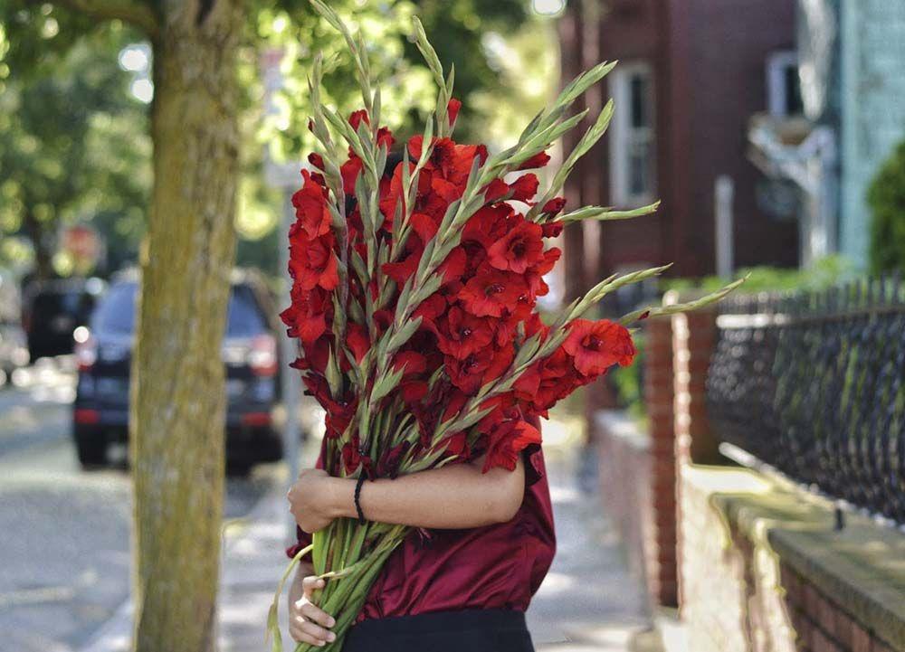 Cắm hoa lay ơn ngày Tết, thêm một thứ vào hoa nở tươi rói-2