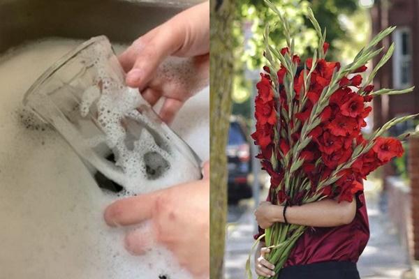 Loài hoa đẹp, tươi lâu nhưng chứa chất cực độc-2