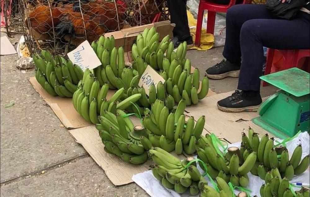 Chuối xanh ngày Tết giá 700k/nải, nhìn cũng hốt chứ nói gì đến mua-3