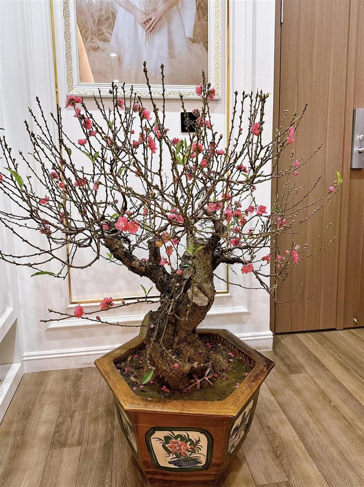 Bằng Kiều hiếm hoi hé lộ không gian sống sang xịn-5