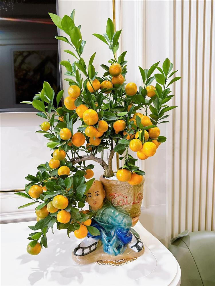 Bằng Kiều hiếm hoi hé lộ không gian sống sang xịn-6