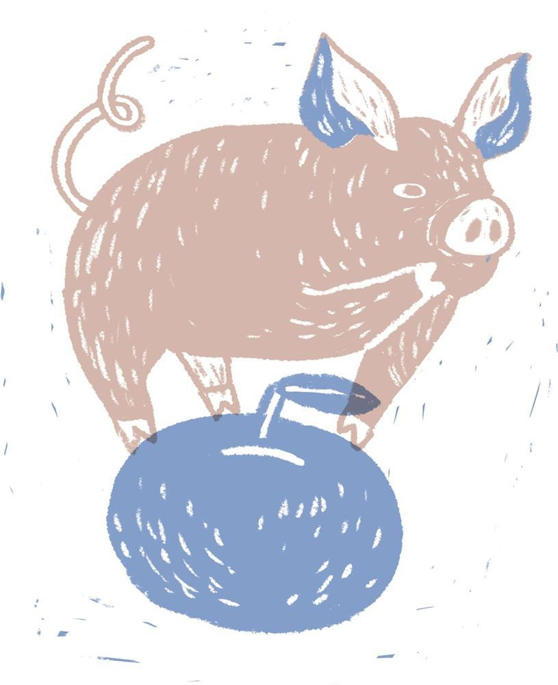 Chuyên gia dự đoán vận mệnh 12 con giáp năm Quý Mão 2023-3