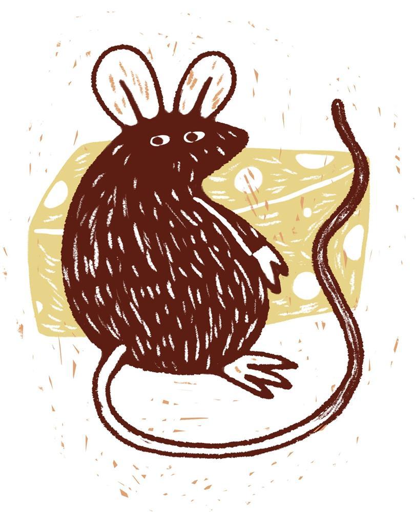 Chuyên gia dự đoán vận mệnh 12 con giáp năm Quý Mão 2023-1