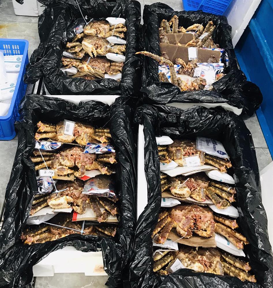 Giá tăng dựng đứng, cua hoàng đế ‘cháy hàng’ ngày Tết-1