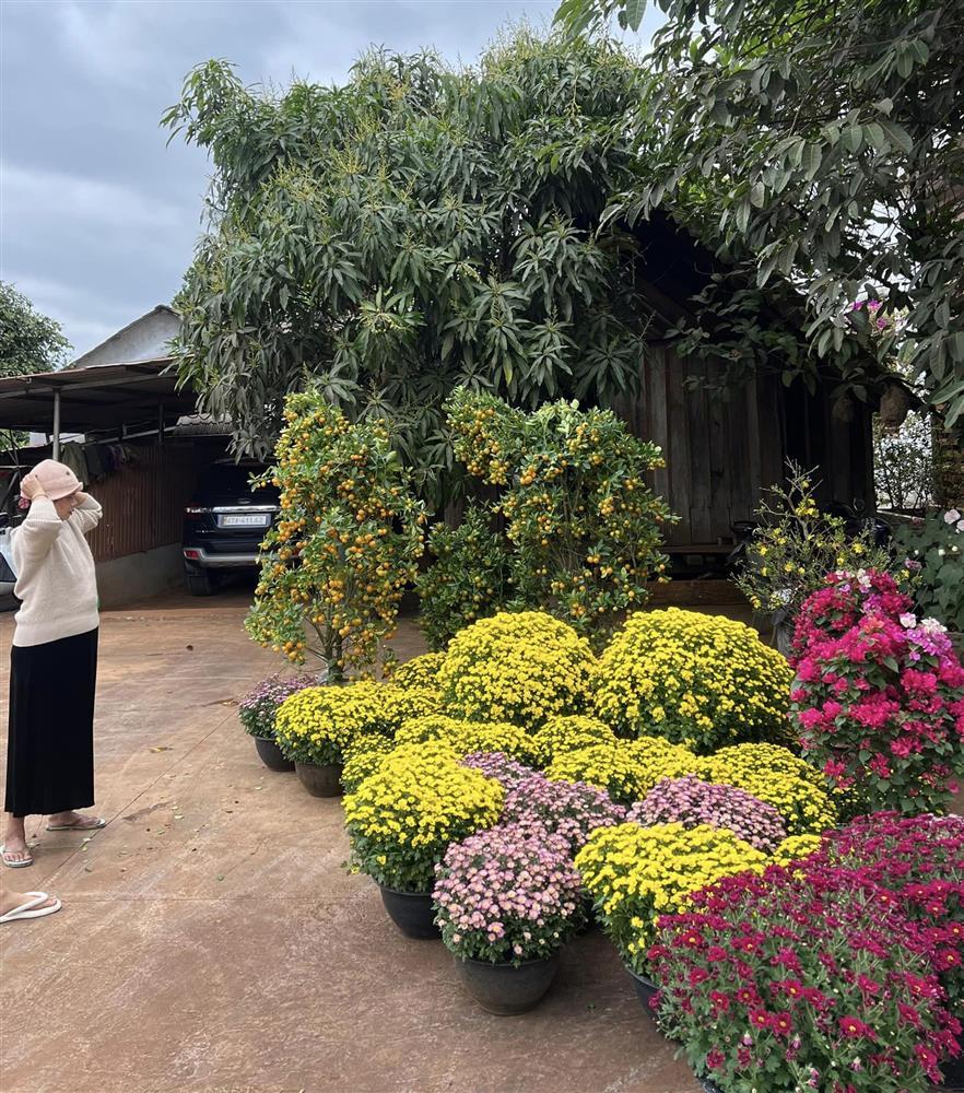 Sao Việt trang trí nhà đón Tết: Đàm Thu Trang chiếm spotlight-18