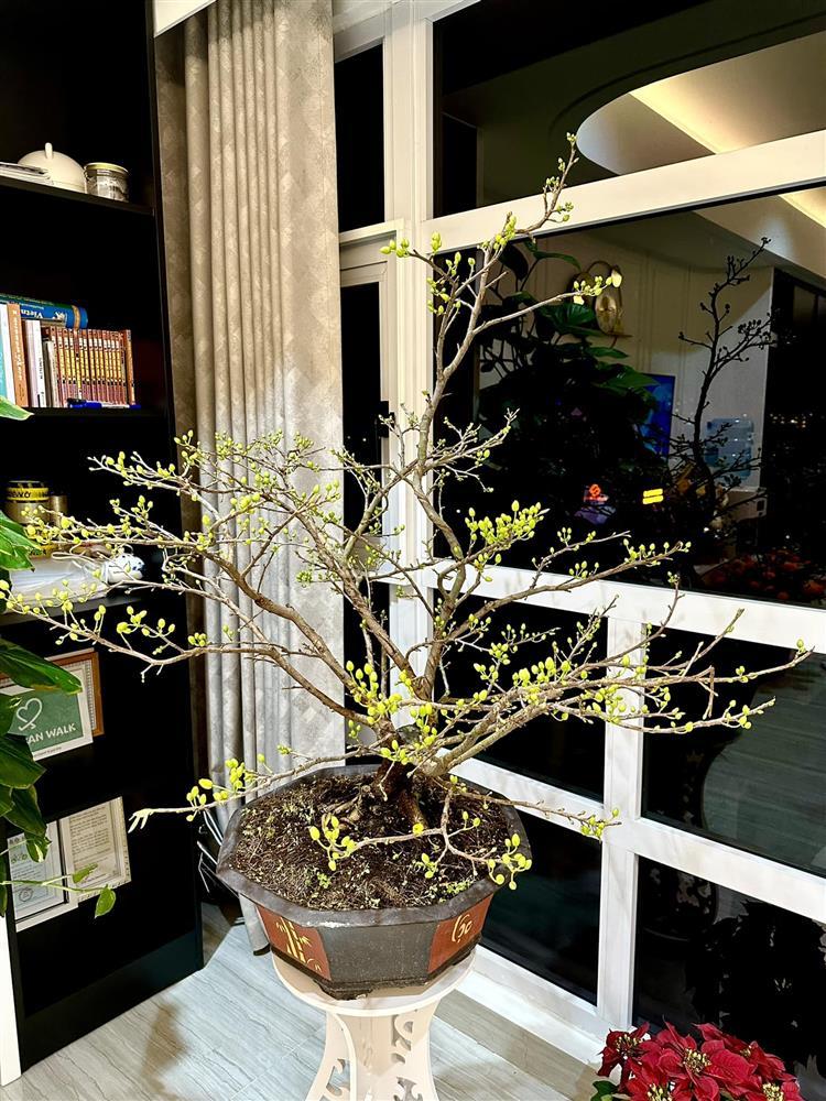 Sao Việt trang trí nhà đón Tết: Đàm Thu Trang chiếm spotlight-11