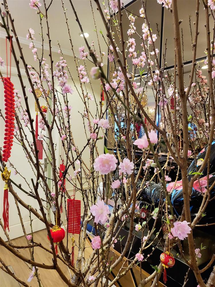 Vợ Mạnh Trường khoe ảnh Tết, đã mắt cơ ngơi sang xịn-5