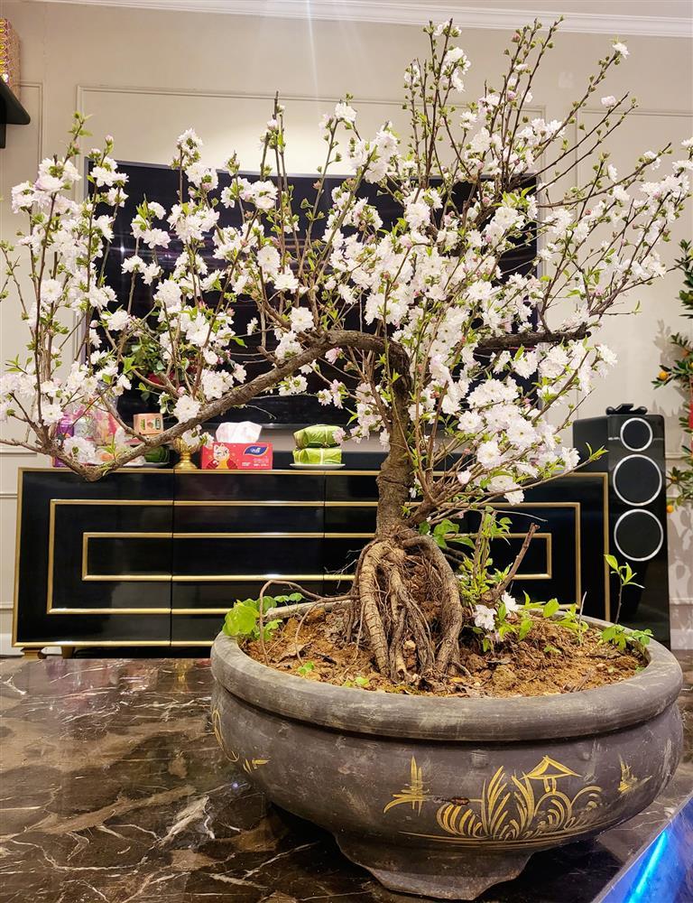 Vợ Mạnh Trường khoe ảnh Tết, đã mắt cơ ngơi sang xịn-6