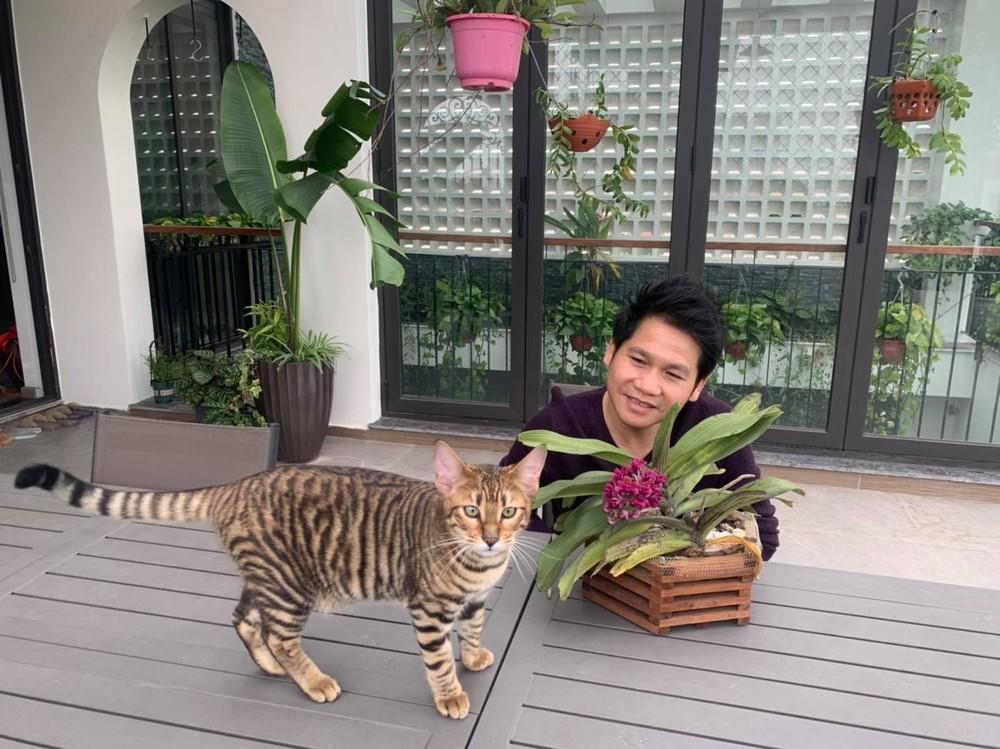 Mèo độc lạ và món lì xì không giống ai của ca sĩ Trọng Tấn-1