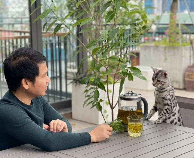 Mèo độc lạ và món lì xì không giống ai của ca sĩ Trọng Tấn-2