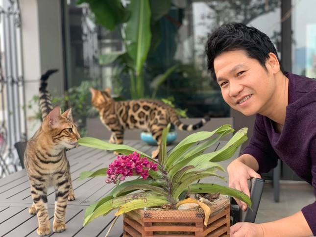 Mèo độc lạ và món lì xì không giống ai của ca sĩ Trọng Tấn-3