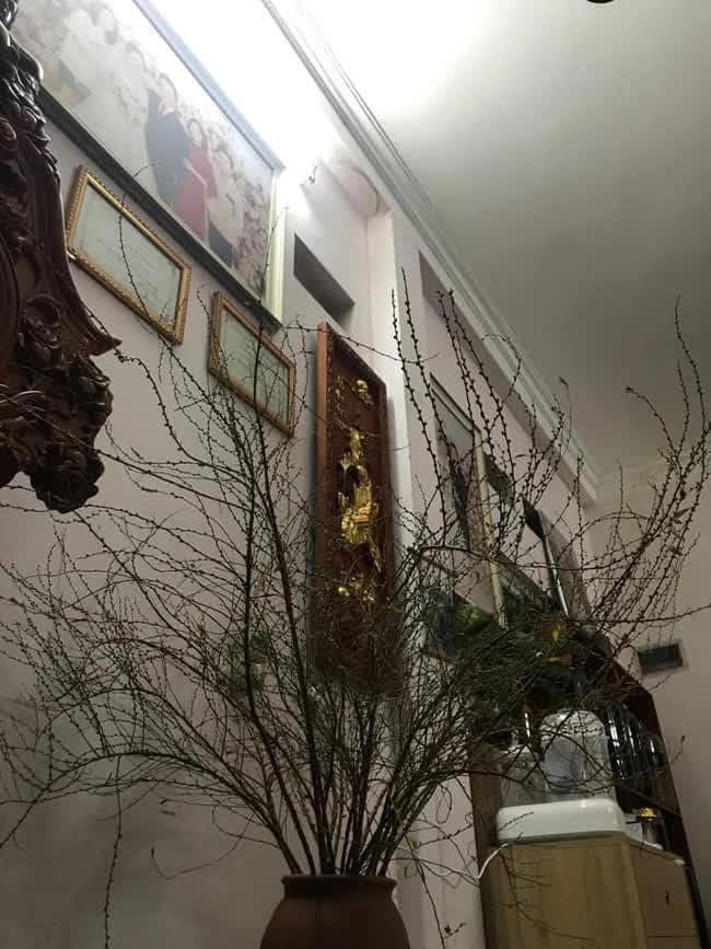 Mua tuyết mai chơi Tết, ngao ngán vì hết Tết hoa vẫn bất tỉnh-4