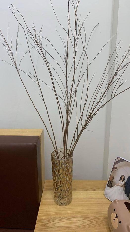 Mua tuyết mai chơi Tết, ngao ngán vì hết Tết hoa vẫn bất tỉnh-8